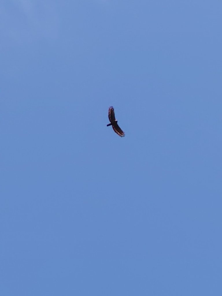 達娜伊谷-里美避難步道-巨石板步道-約富霓_2788526