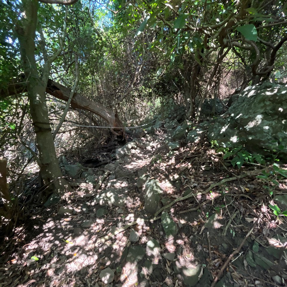 20251210_大山母山（屏東小百岳）_2968645