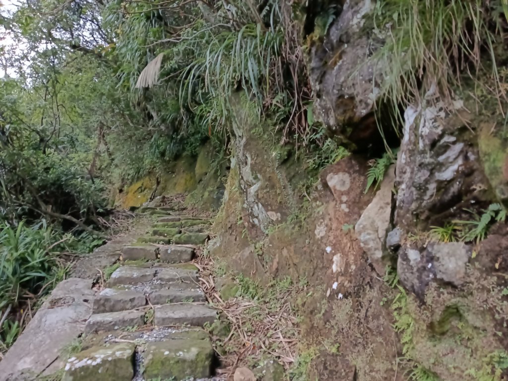 雙溪區不厭亭+草山公路+牡丹山+不厭亭+金字碑古道(探幽亭)+三貂崙+不厭亭8字走_2941952