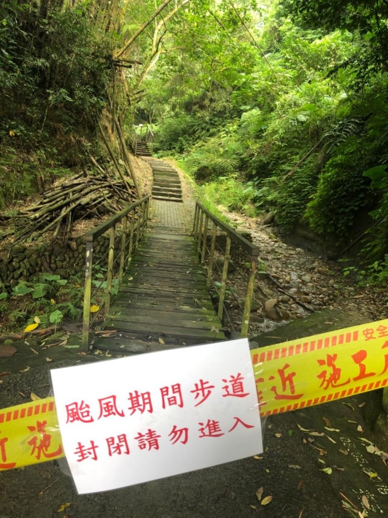 林內龍過脈（獼猴四面埋伏）_657005