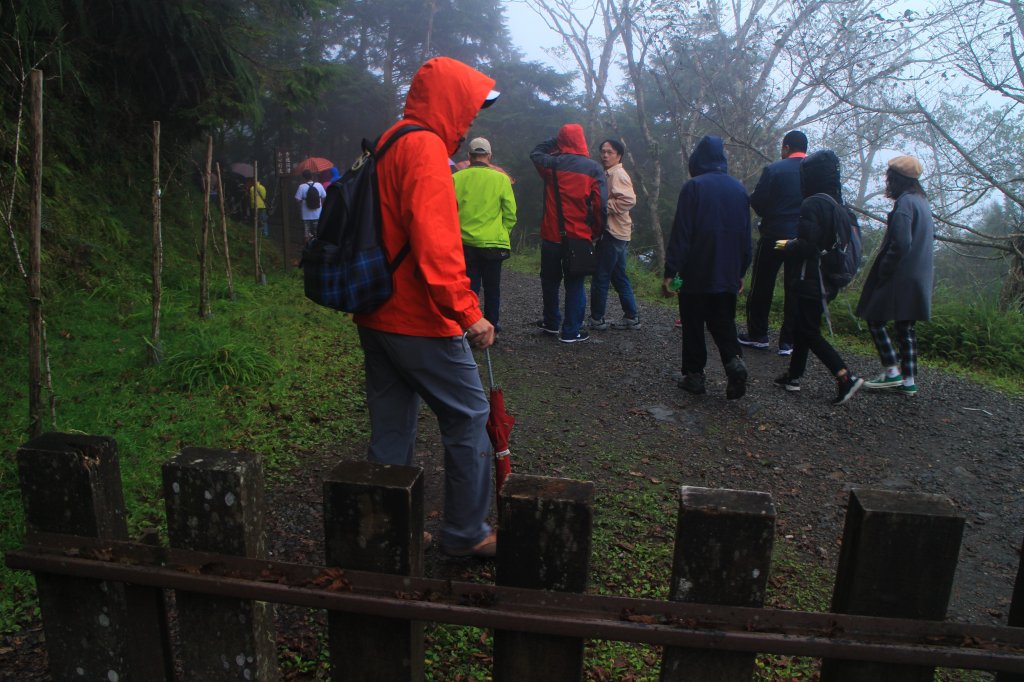 太平山見晴古道霧景濛濛 20181117_469366