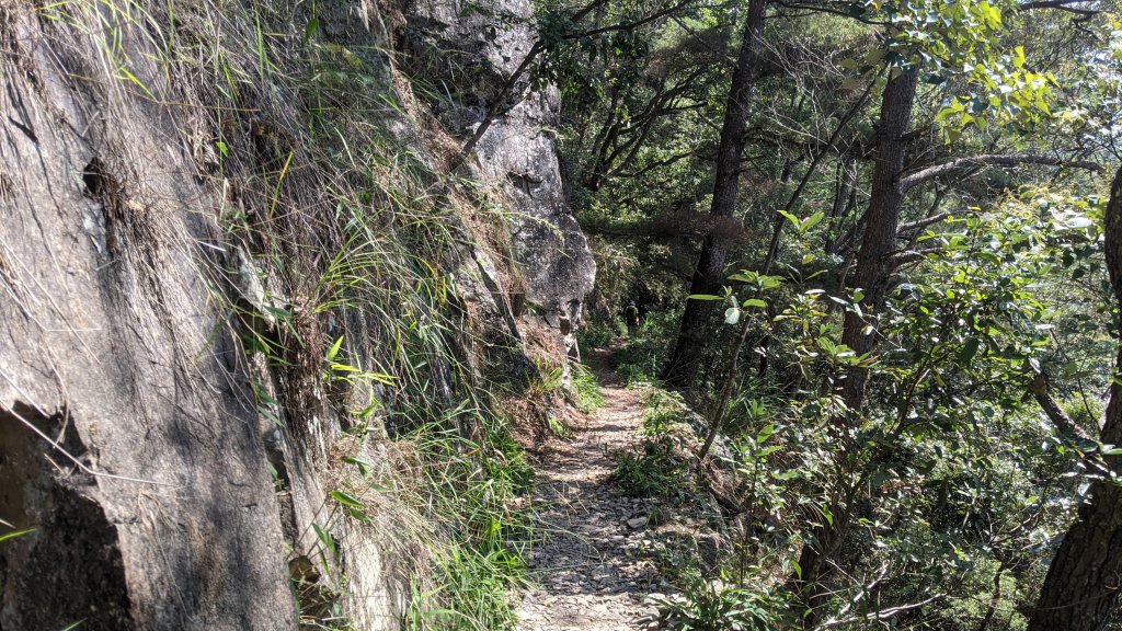 東卯山步道_1462120