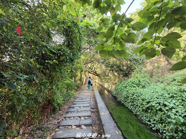 【台中烏日】知高圳步道x雪蓮步道x學田山封面圖