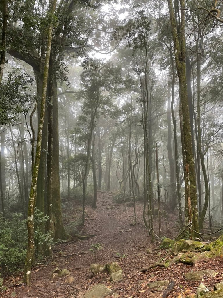 台中｜和平 屋我尾山_1661736