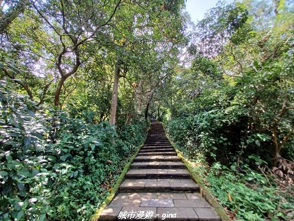 【台北信義】搭捷運爬山趣。 小百岳集起來。編號13小百岳-南港山步道_1755558