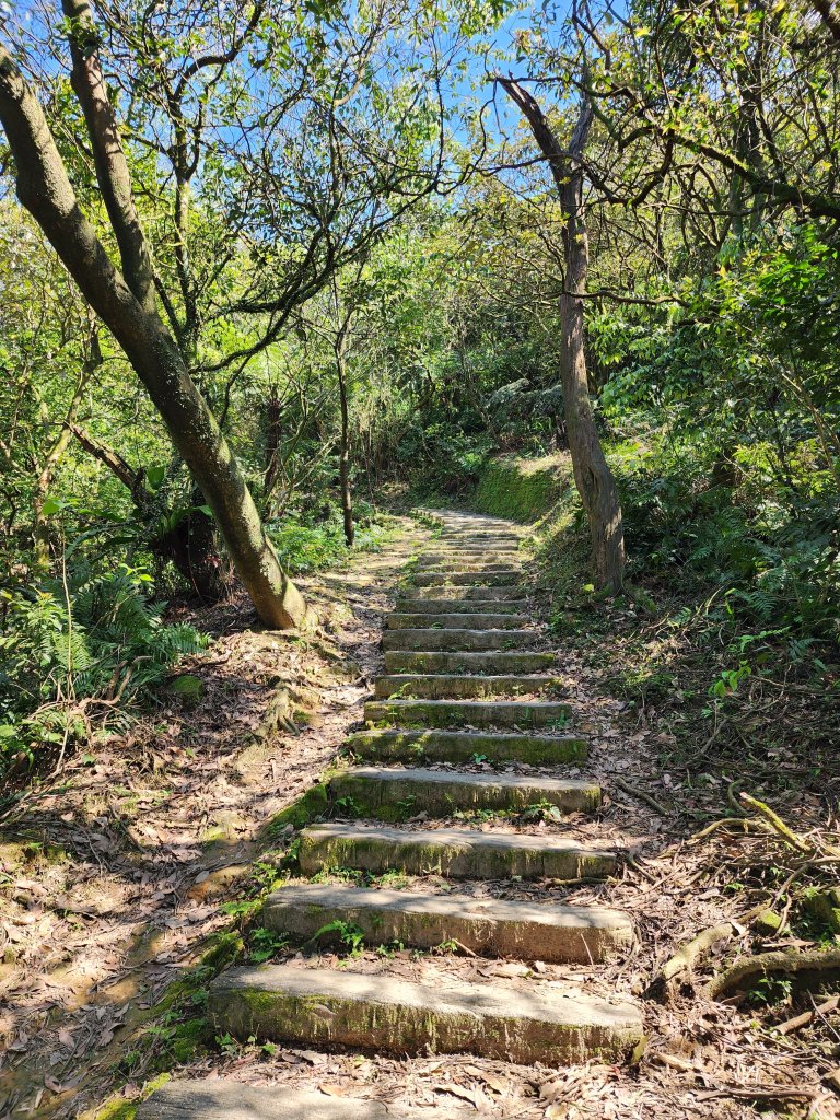 20250322-姜子寮山_2739984