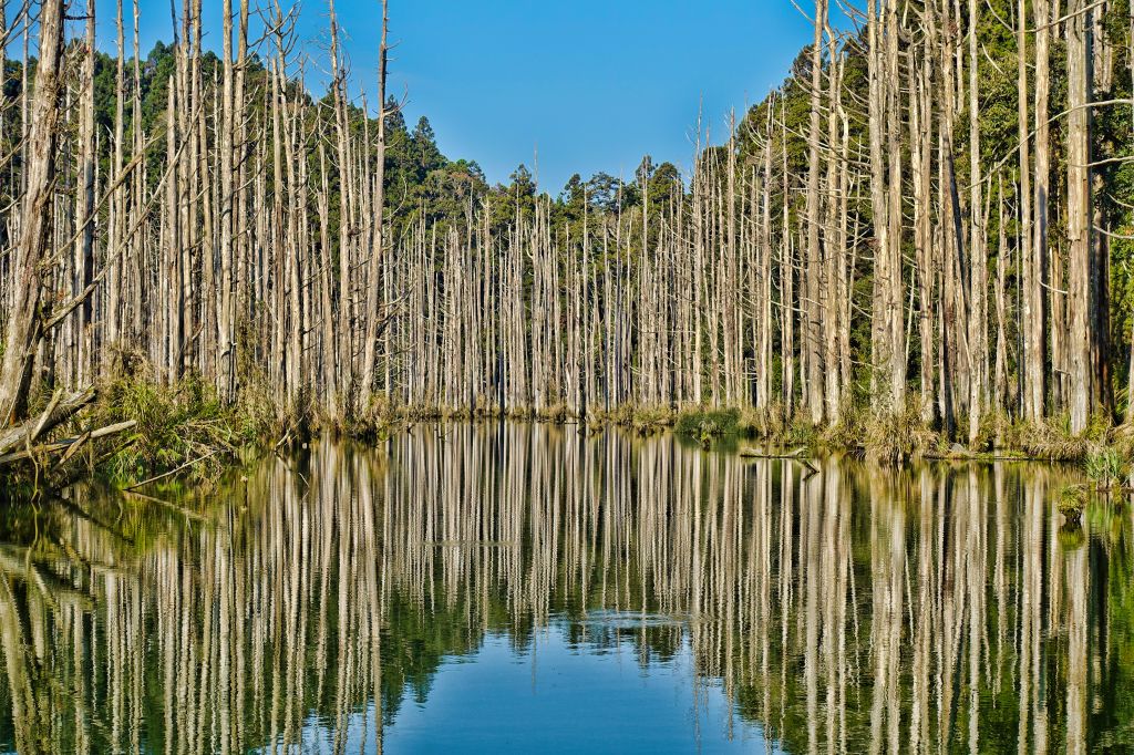 水漾森林。鹿屈山O型2018.04.04_306887