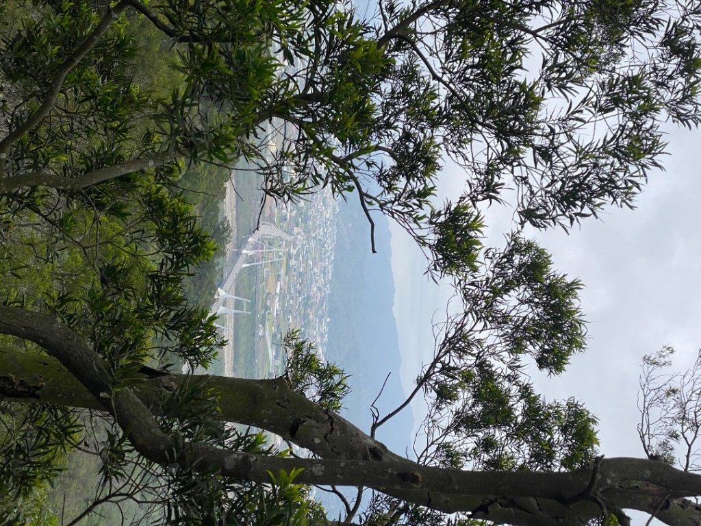 苗栗三義-三員縱走_2616484