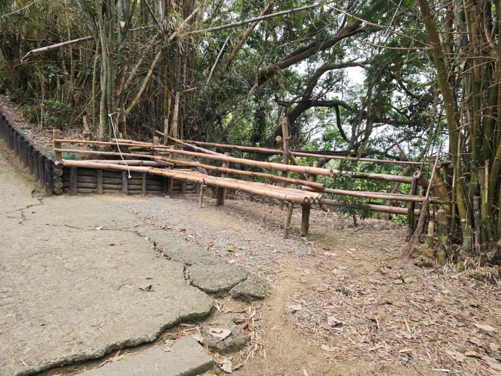 台中咬人狗坑～三汀山（小百岳～巧遇大冠鷲）_2720006