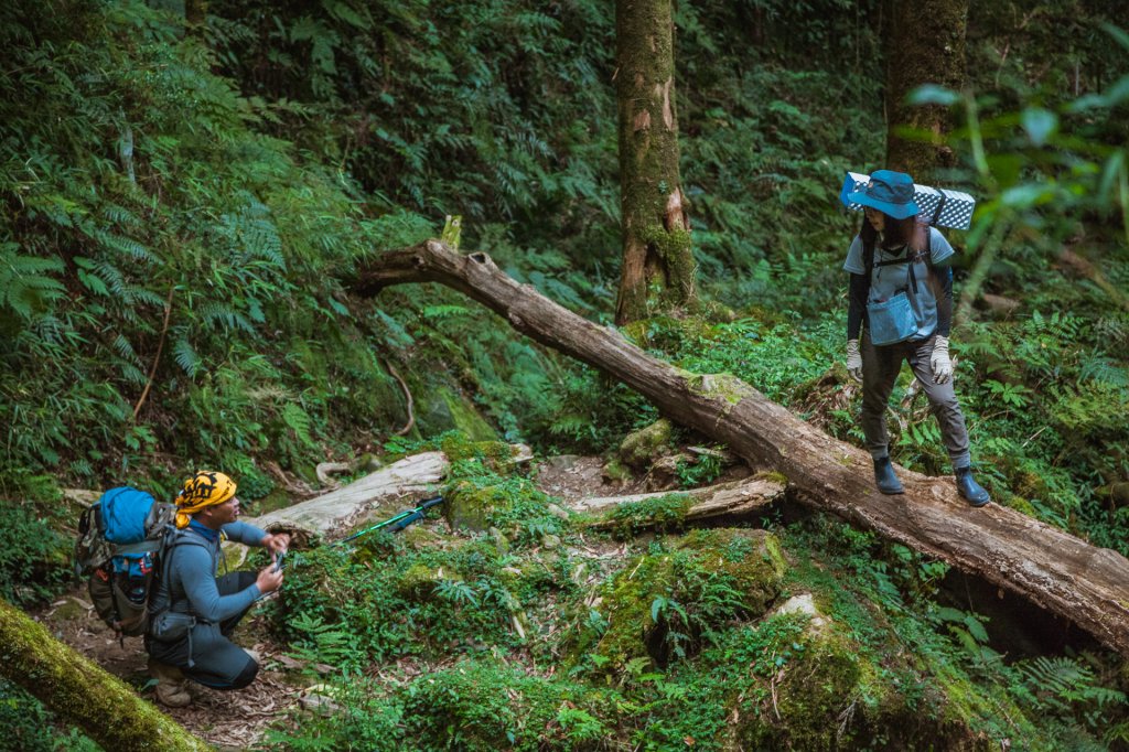 20200619~21-阿溪縱走_1635268