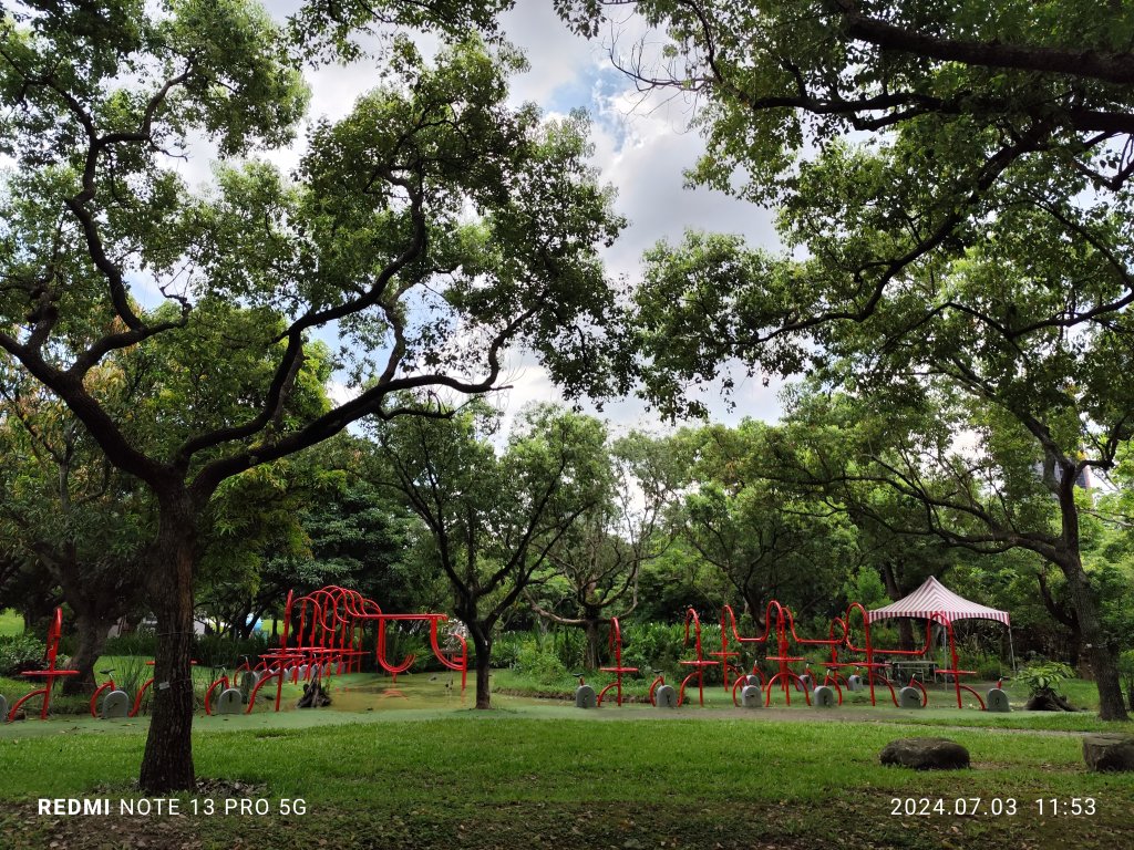 大安森林公園【走路趣尋寶】【臺北健走趣】_2541494