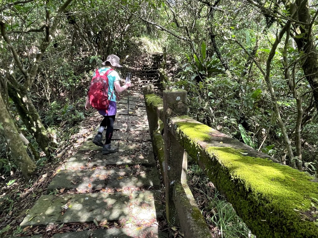草嶺古道-大溪線-桃源谷-虎字碑-草嶺古道-福隆 20240909_2591656
