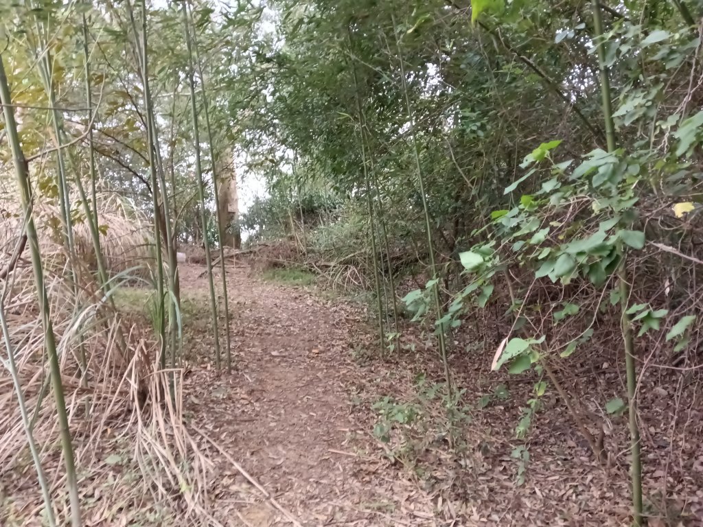 寶山鄉寶山水庫(寶山東峰+中峰+中西峰+西峰+西北峰)+尖山O型_3012516