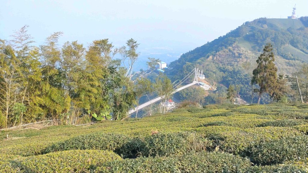 20240317十分速C團爬山趣_2456971