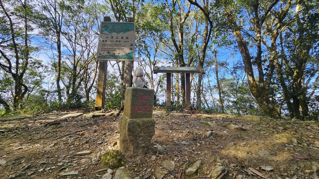 241109-五闖魔王小百岳#073尾寮山。美美兔入冬起早爬山特舒爽。_2646833