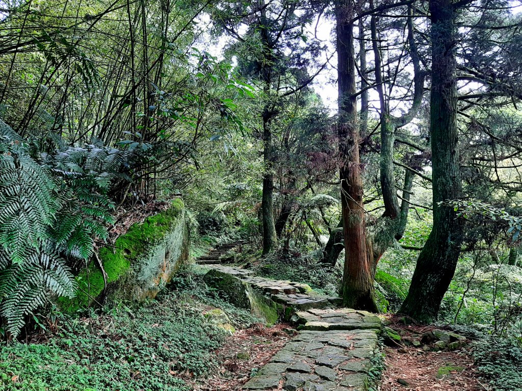 走遍陽明山：擎天崗系｜景遠心自闊，潺潺溪水聲洗去一身憂_2114110