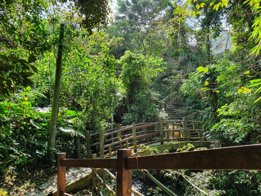 出水坑步道_1105842