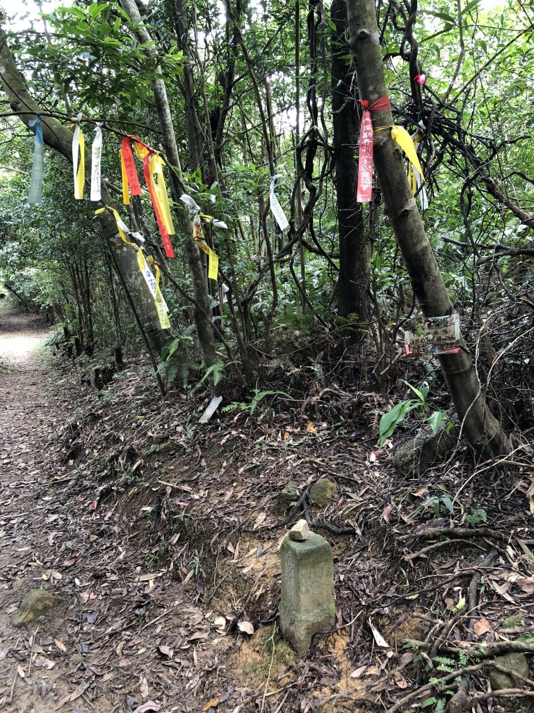 2018.10.07新山夢湖O繞_1006940