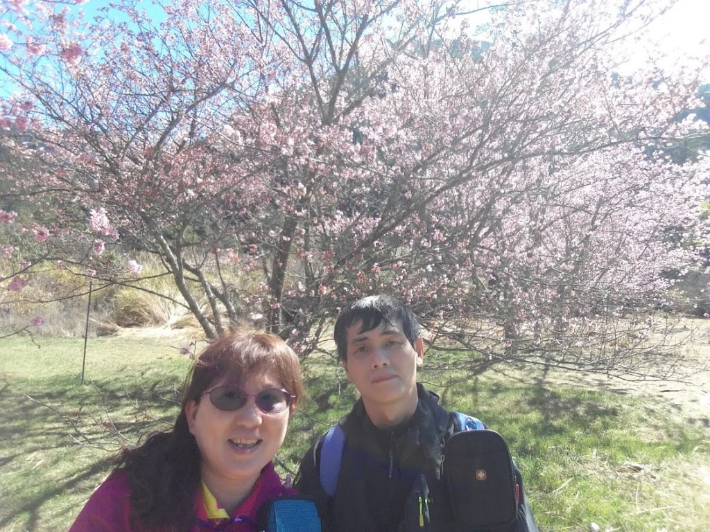 109.02.27 武陵農場(國光號)_905446