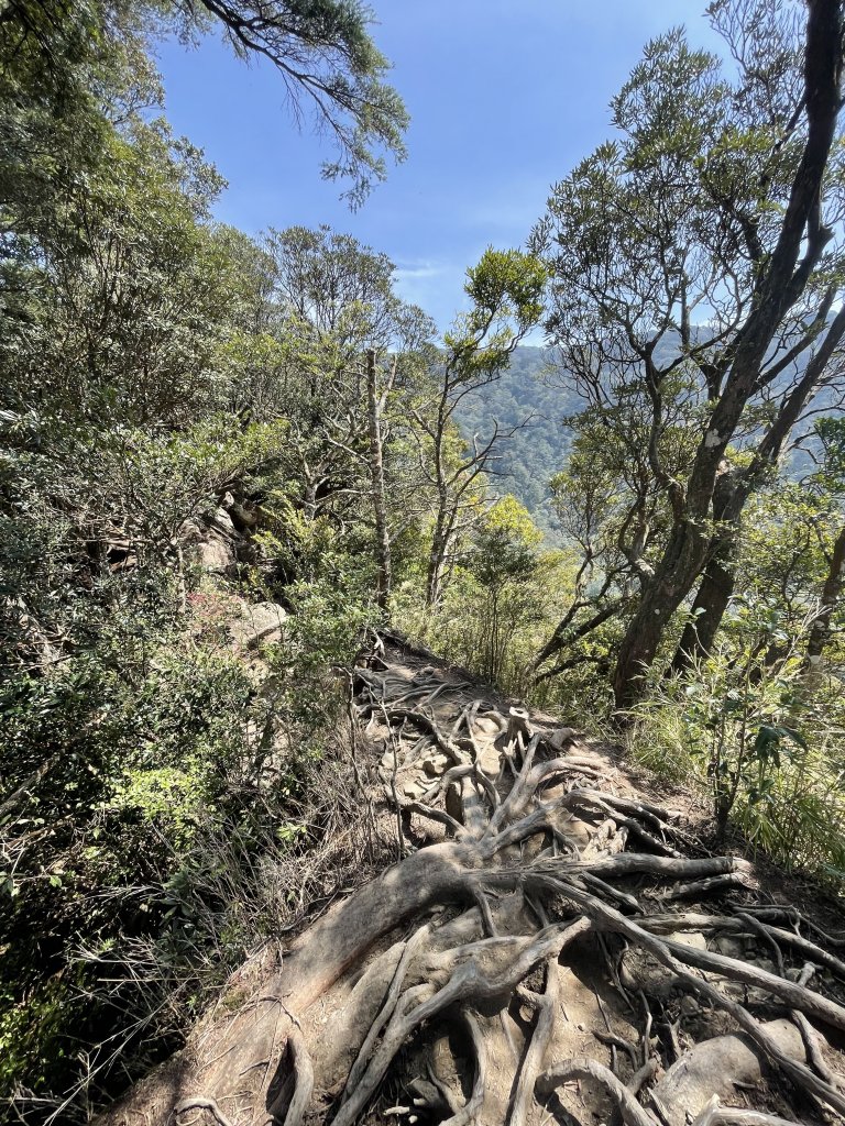 林相優美-內鳥嘴山111.03.16_1645321