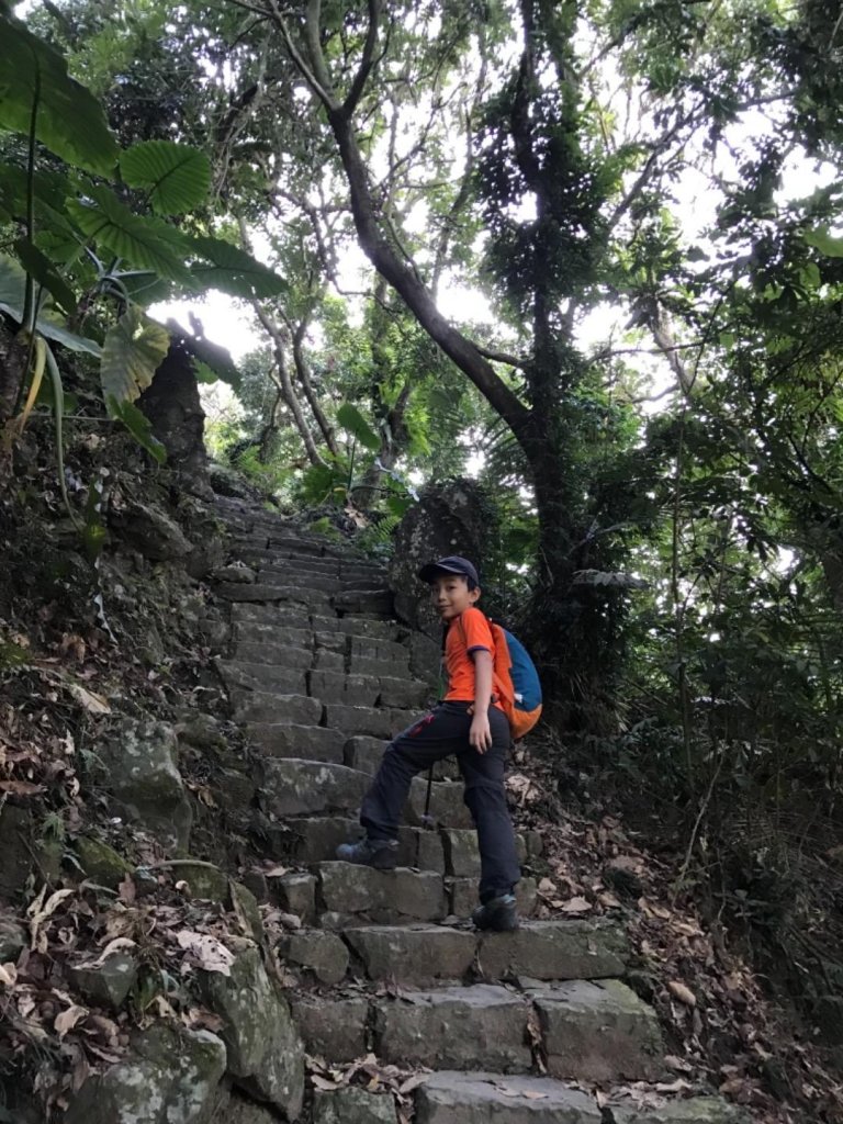 樟腦寮車站上獨立山奉天岩泡茶煮泡麵大巃頂看群峰美景_469755