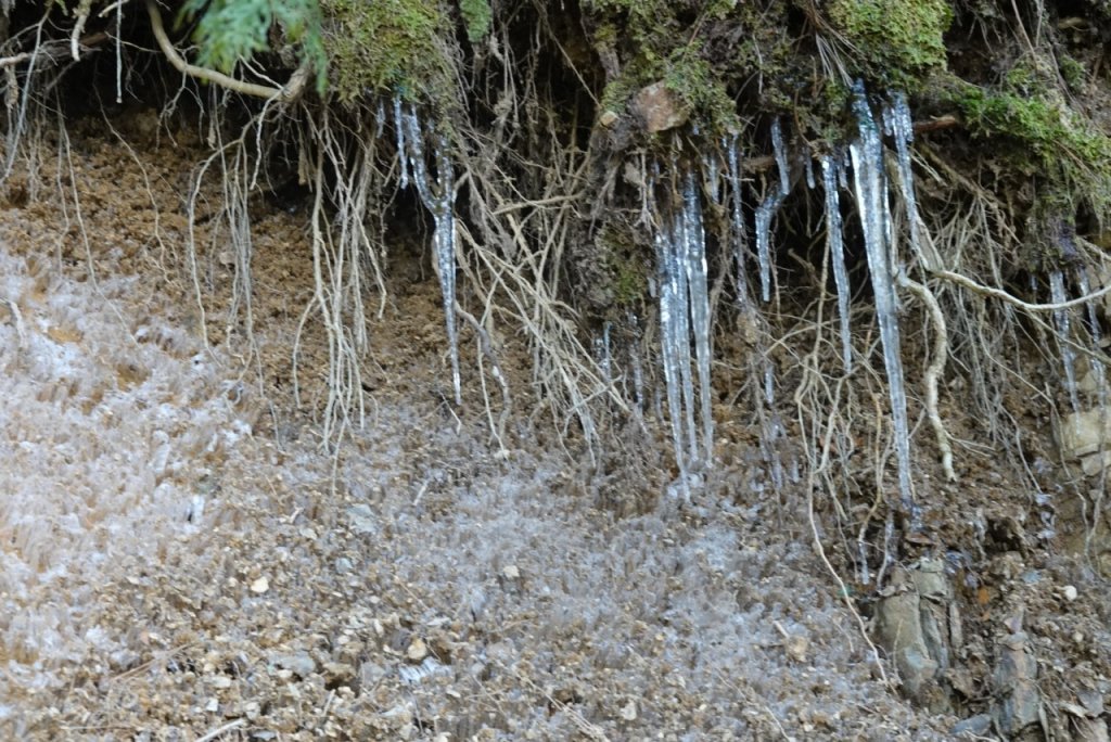 熊野古道小邊路.熊野三山_2485444