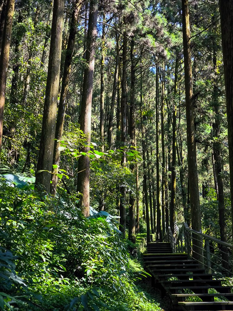 2025-09-14 奮起湖_2887390