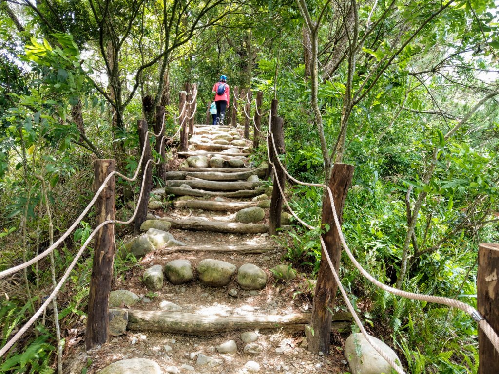 頭嵙山(小百岳#41)大坑4,5,1步道_1003677