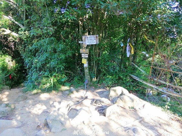 【新北。三峽】健行尋悠~賞遼闊視野。 小百岳集起來。 編號19小百岳~鳶山(福德坑山)_1492166