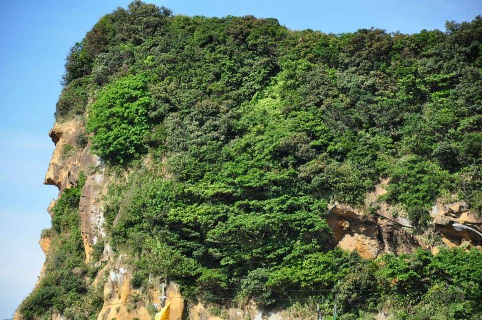 深澳 酋長岩  象鼻岩步道，深澳漁港海天步道，野柳地質公園。鬼斧神工的，深澳岬角封面圖