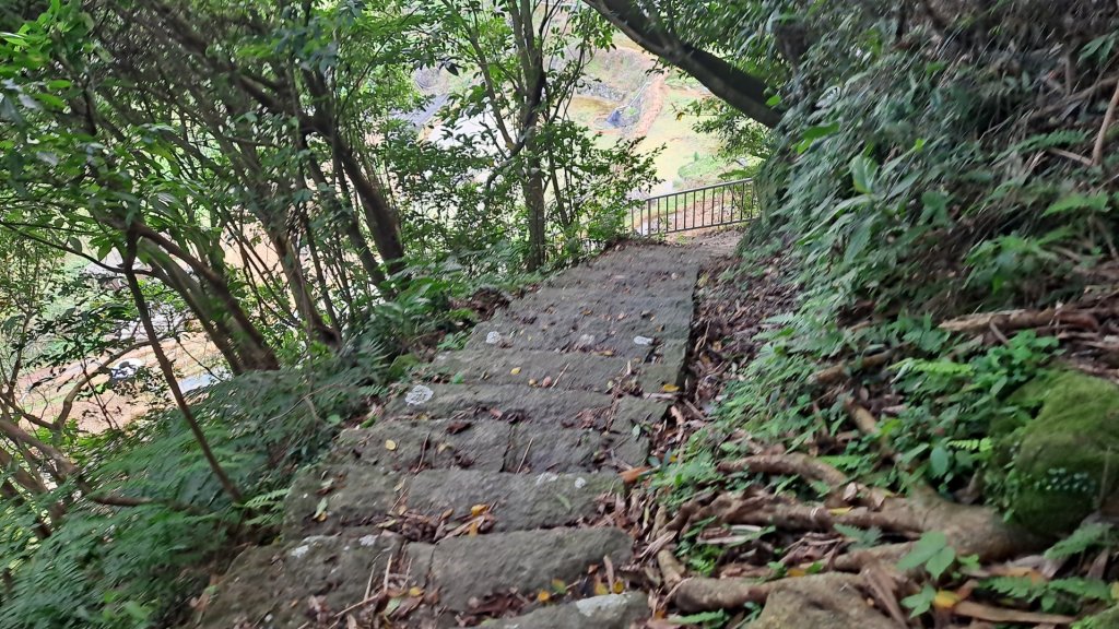 20240305坪頂古圳-登峰圳-內雙溪古道-瑪礁古道-大崎頭步道O繞_2447243