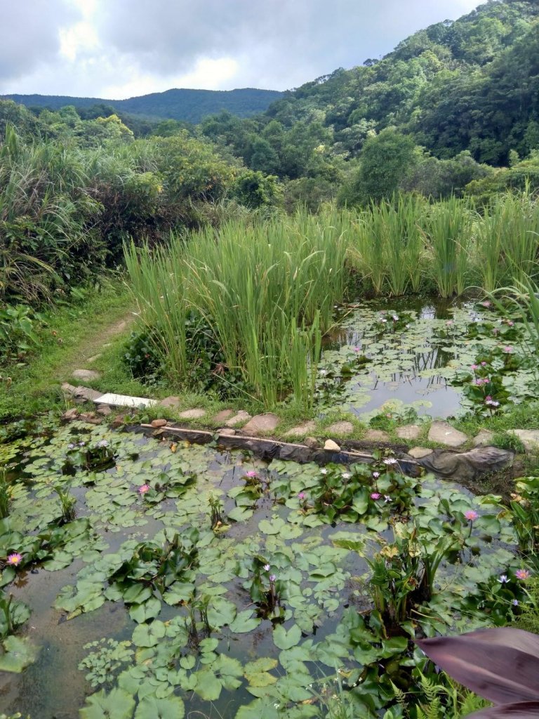 20190731虎豹潭上三方向山樓仔厝回_644646