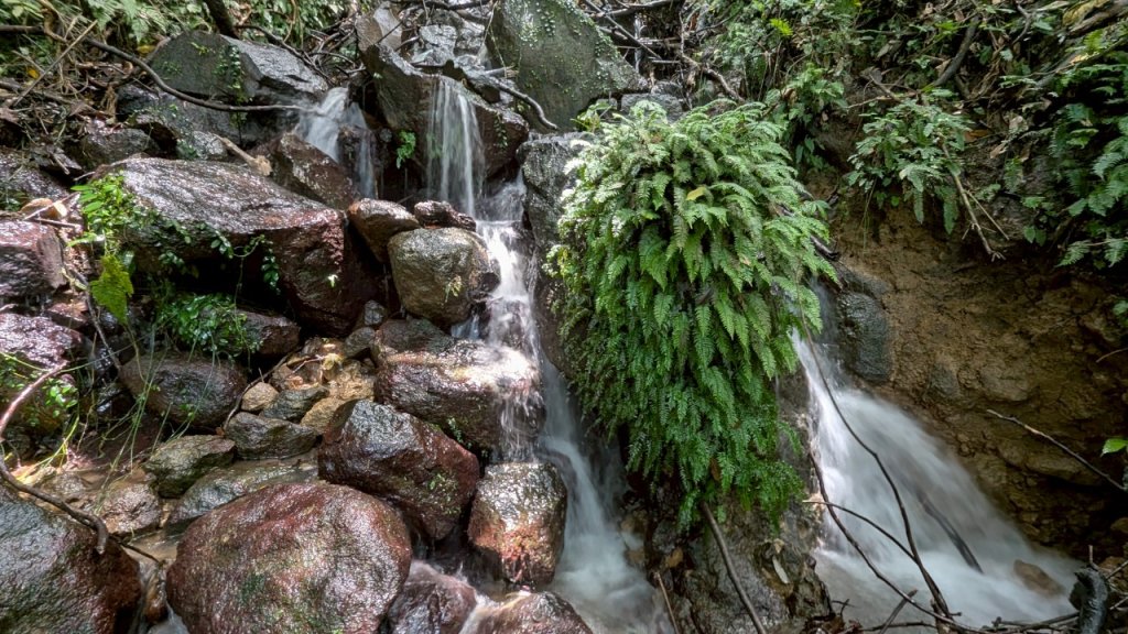 114.06.01溪山百年古圳-太平尾山+聖人崙之旅_2801841