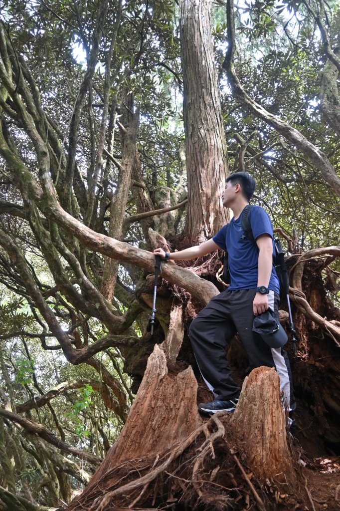 中級山-高島縱走_2888355
