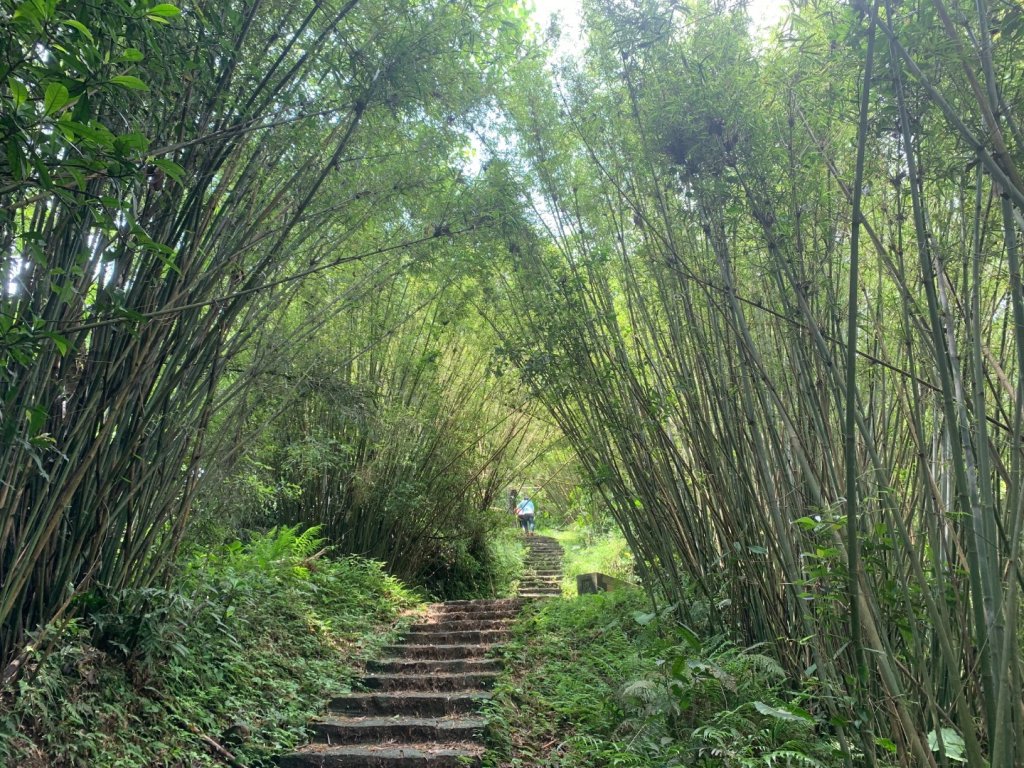 大崎棟古道、騎龍古道_2772250