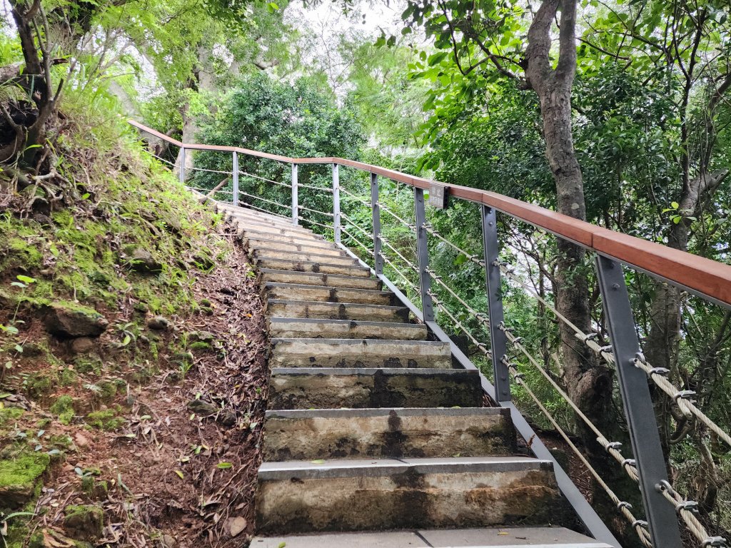 台東｜鯉魚山_2638608