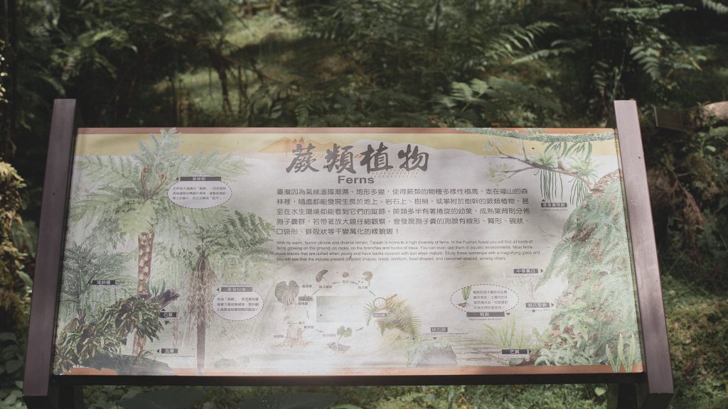 福山植物園-生態天堂_1088797