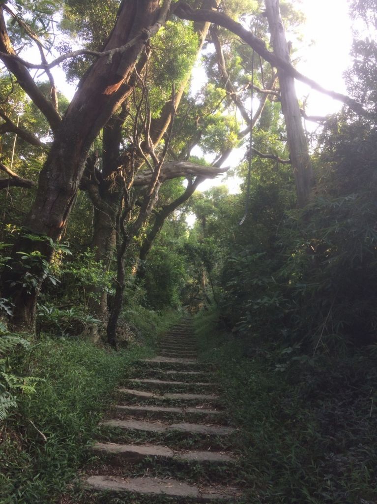 陽明山東西大縱走(上)_168537