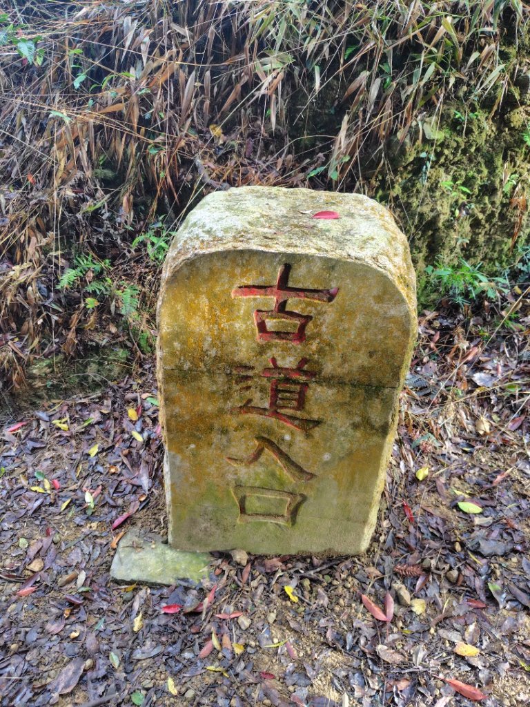 鳳鳴古道 鳳鳴山 南隘勇（南長城）古道 三湖山 八達嶺（龍骨）古道 綠色古道 延平古道_2975233