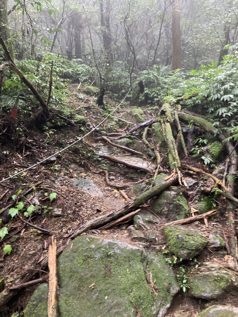 獅仔頭山登山步道_2437066