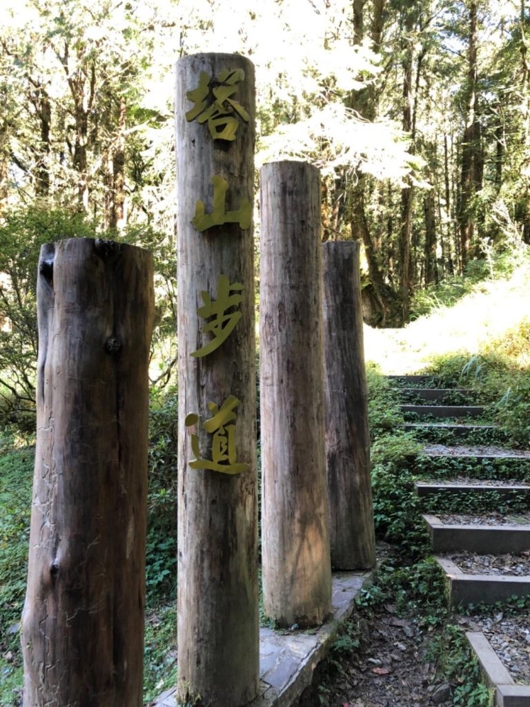 阿里山山脈最高點大塔山_511153