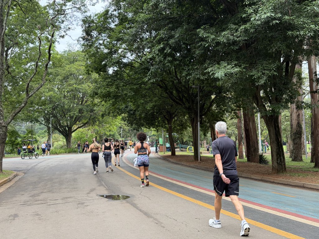 [紐約馬之行-68] 2025_1116 伊比拉布埃拉公園-中_2955106