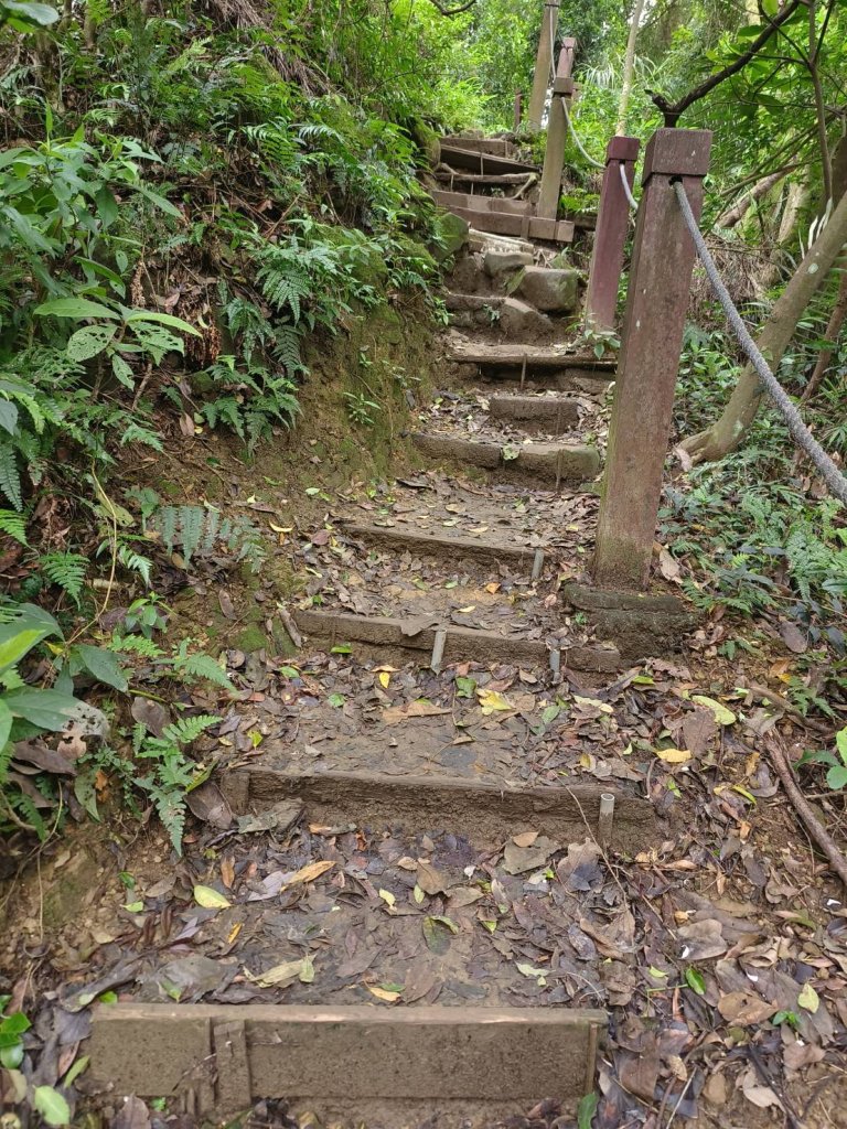 新北市-福德坑山_3053874