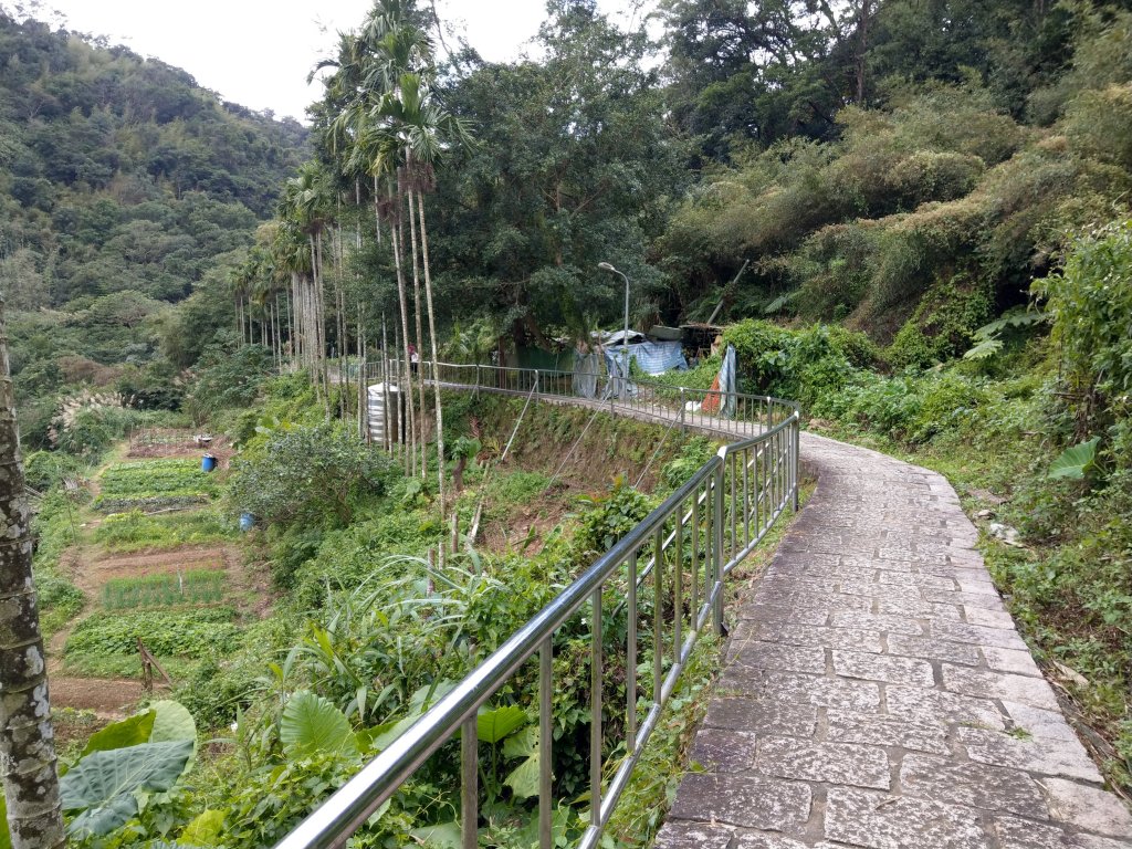 臺北大縱走-中華科技大學至捷運麟光站_774275