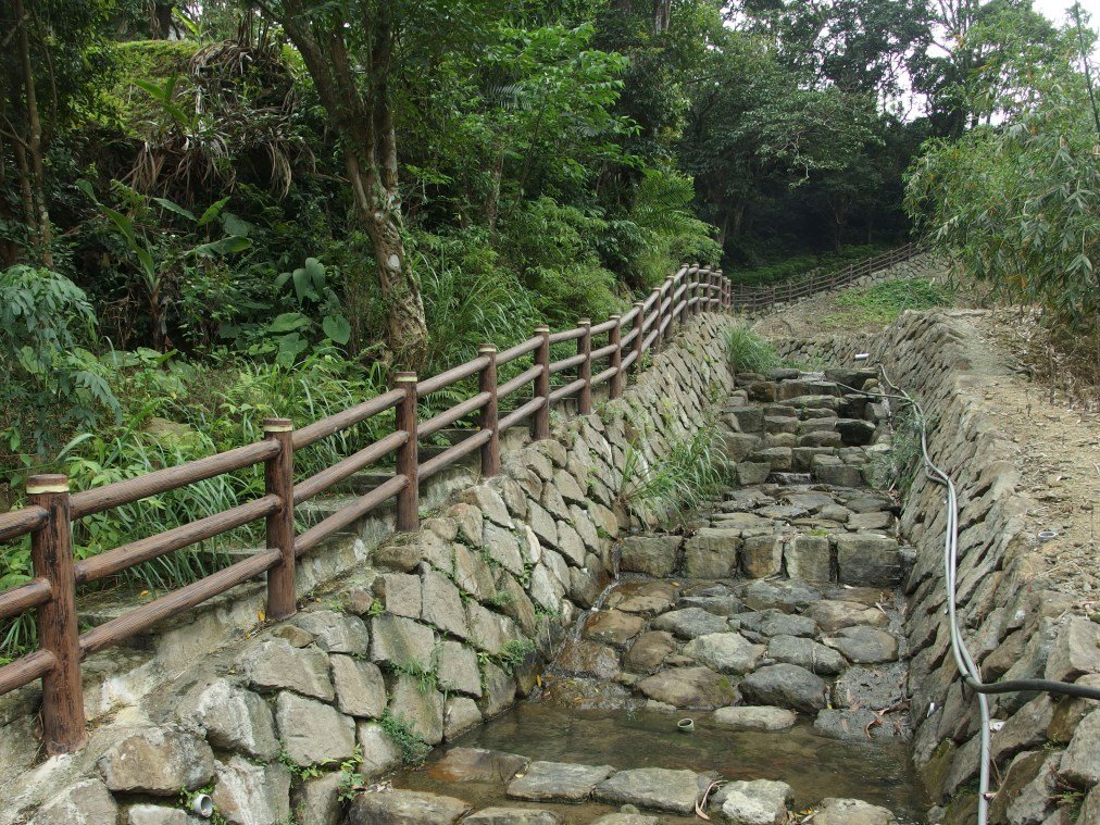 貓空樟樹步道‧壺穴步道_557019