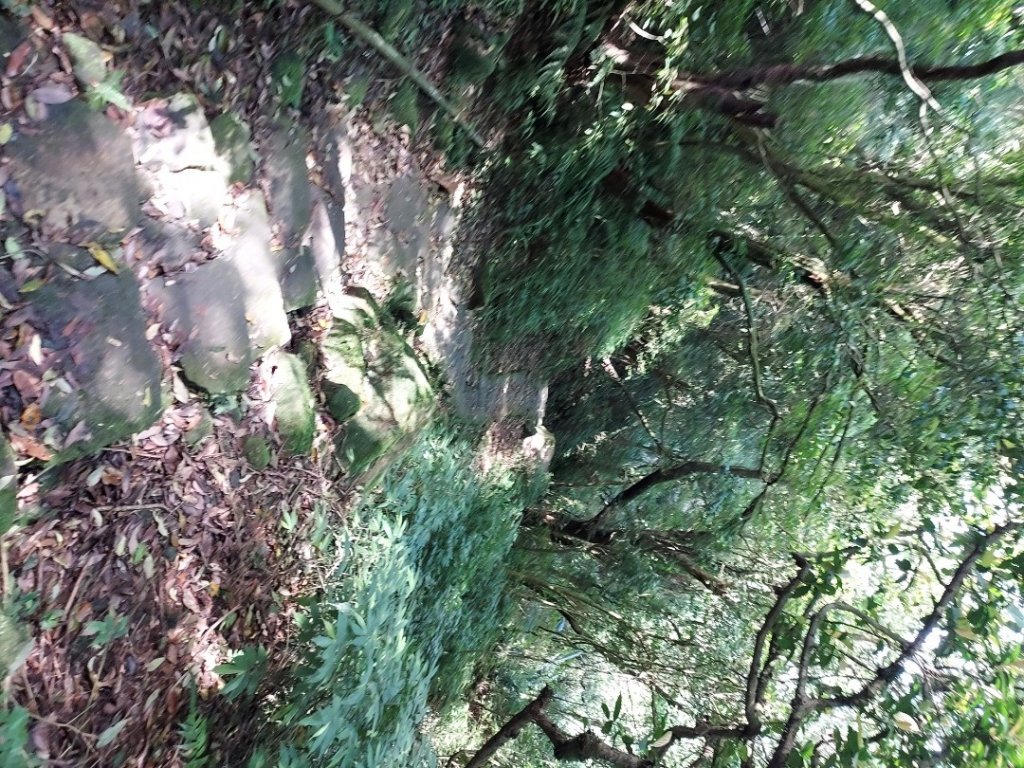 大縱走第四段：風櫃口～中華科大_1742479