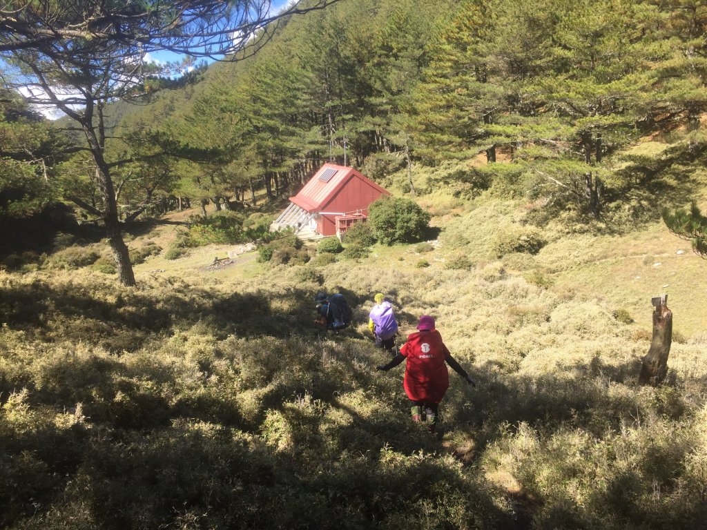 南二段八大秀_655619