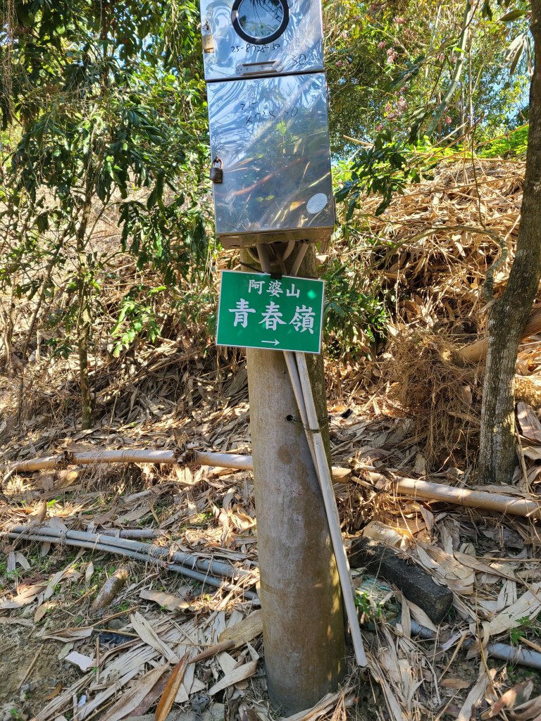 走了一個大O_2723398