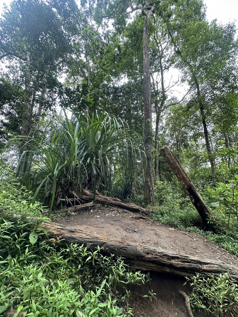林賈尼火山之旅_2531563