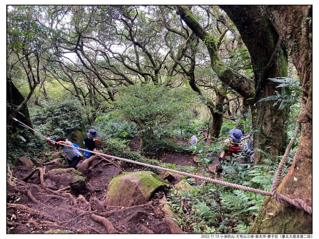 2022.11.13 小油坑山-大屯山三峰-面天坪-貴子坑（臺北大縱走第二段）_1920590